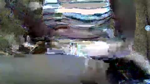 Snapshot of submissive_slut001 chatting on 01.12.25 submissive_slut001 online show from 01.12.25