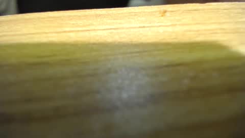 Snapshot of subswichuser00060960 chatting on 01.15.25 subswitchuser online show from 01.15.25