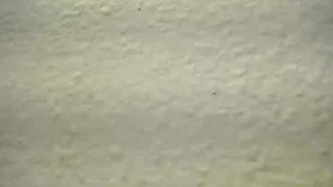 Snapshot of subswichuser00060960 chatting on 10.03.25 subswitchuser online show from 10.03.25