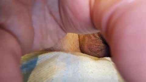 sucherealetreffen online show from 12.11.24