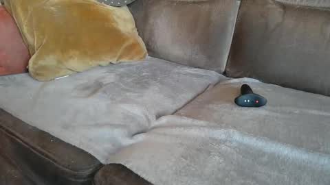 Suessli online show from 10.22.25