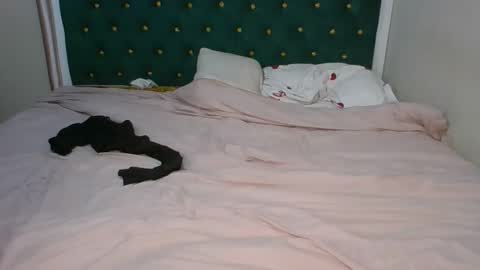 sugarboogers_ online show from 02.12.26