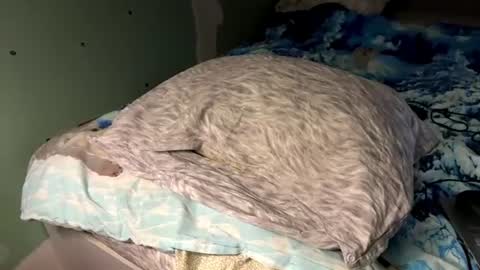 Sexy Nurse Girl online show from 06.21.26