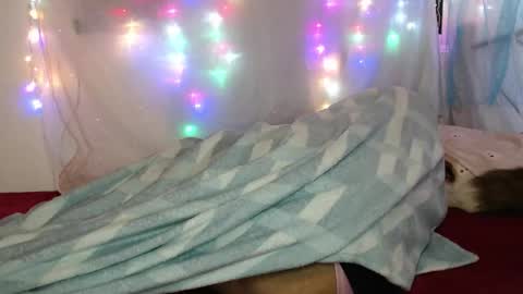 Snapshot of suley_fox chatting on 03.04.26 zuley online show from 03.04.26