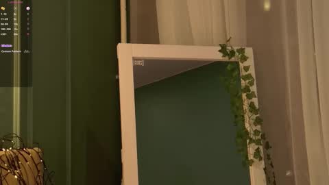 Snapshot of sunnyrisha chatting on 11.17.25 Risha online show from 11.17.25