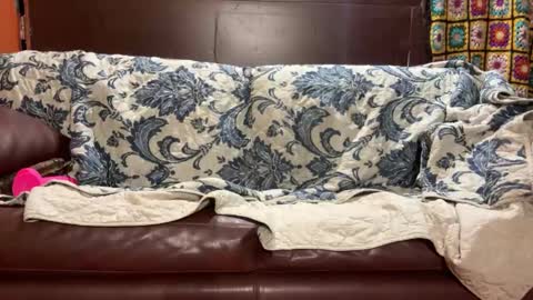 Stony online show from 01.14.25