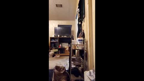 Snapshot of surfsup850 chatting on 12.18.25 surfsup850 online show from 12.18.25