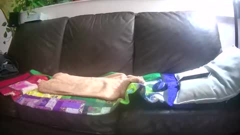 Otto online show from 10.26.25