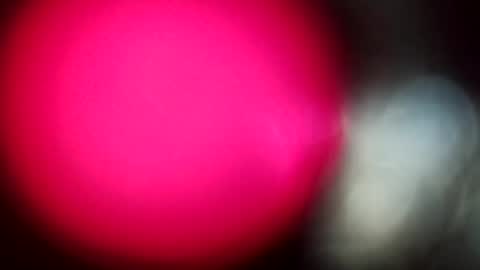 Snapshot of suzannebanci chatting on 02.28.26 My name is Sissy or more fully Suzanna Aprilia Maria Mariquita Catarina Chinita Banci. Soy una puta - que chimba ladybug online show from 02.28.26