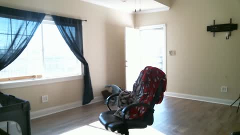 Snapshot of swals chatting on 02.02.25 Swals online show from 02.02.25