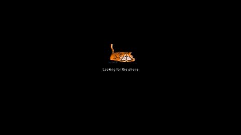 Brad online show from 06.10.26