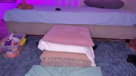 Snapshot of sweet_kahia chatting on 12.24.24 Diana online show from 12.24.24