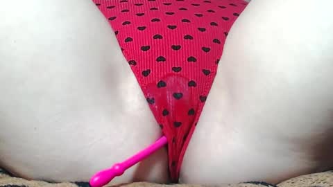 Kitten online show from 05.17.26