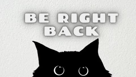       Independent model online show from 01.14.25