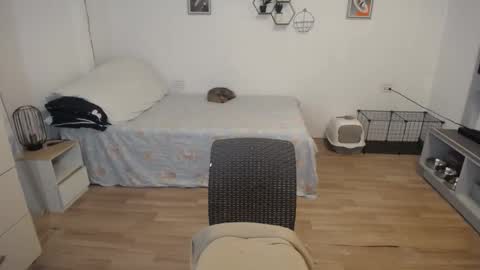 angel 3 online show from 12.05.24