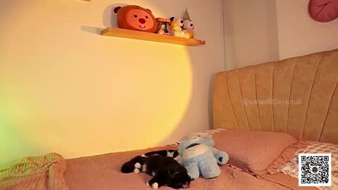 Venus online show from 03.17.26