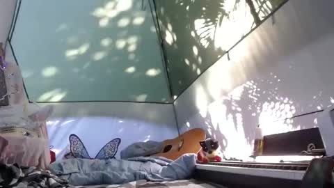 April online show from 11.21.25