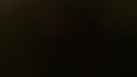 slim ivy online show from 10.26.25