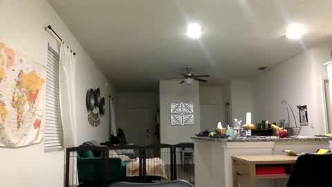 sweetriddance online show from 03.01.26