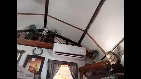 sweetsugar64 online show from 02.03.26