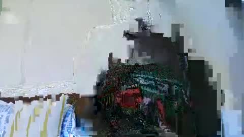 Cute vixen online show from 12.05.24