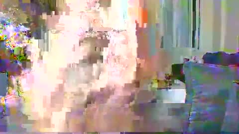 Cute vixen online show from 12.11.24