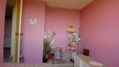 Snapshot of swettcabol chatting on 12.31.24 swettcabol online show from 12.31.24