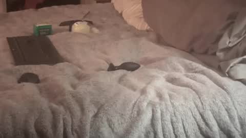 Snapshot of sxymn123 chatting on 09.14.25 SissyDenver online show from 09.14.25