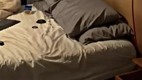 Snapshot of sxymn123 chatting on 11.25.25 SissyDenver online show from 11.25.25