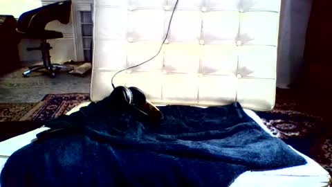 Snapshot of syd666 chatting on 12.16.24 subfordomme online show from 12.16.24