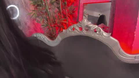 Sydney online show from 03.25.26