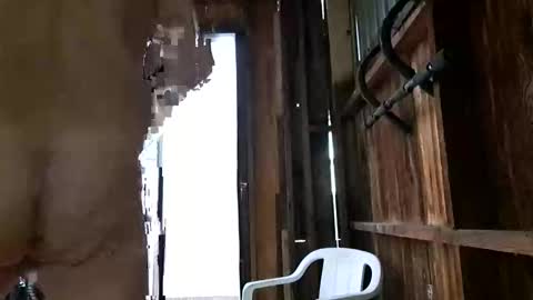 Snapshot of syevecrl chatting on 10.27.25 syevecrl online show from 10.27.25