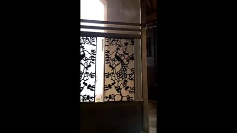 syevecrl online show from 02.09.26