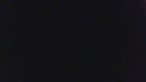 sylvertaurus1 online show from 10.31.25