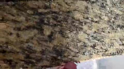 Snapshot of tacitblue7 chatting on 03.02.26 Canon online show from 03.02.26