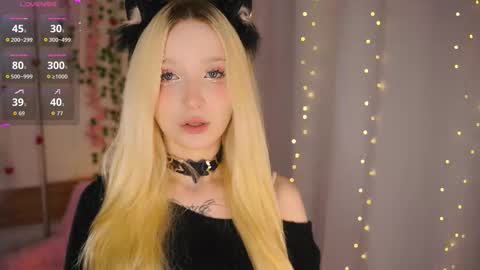 taitechubb online show from 02.15.26