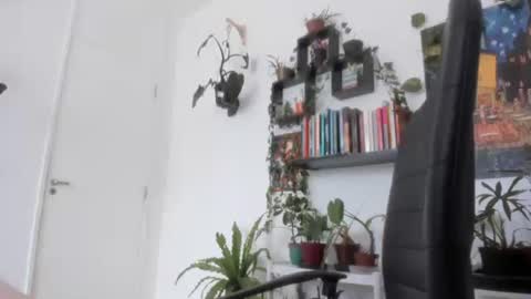 Snapshot of talimajid chatting on 11.26.25 Tali Majid online show from 11.26.25