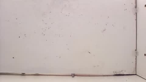 Snapshot of tall6feet7inch chatting on 02.27.26 tall6feet7inch online show from 02.27.26