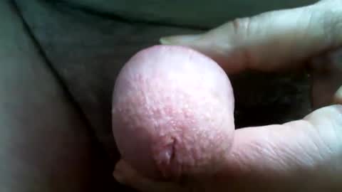 tallgentleman online show from 12.01.24