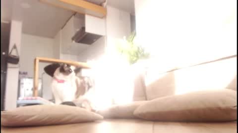 Tamara online show from 09.14.25