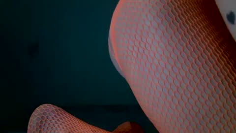 tamesbury online show from 03.08.26