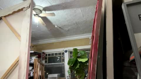 tanhottie666 online show from 08.05.26