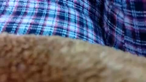 Snapshot of taniya_roy4628 chatting on 02.12.26 taniya_roy4628 online show from 02.12.26