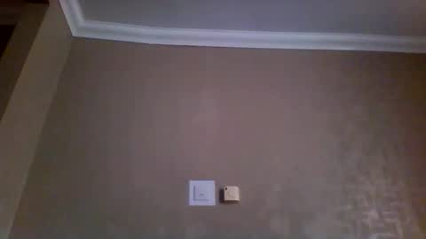 tarasan123 online show from 02.17.26