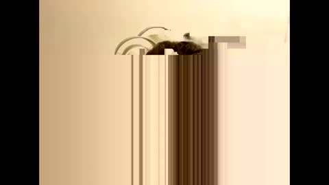 Snapshot of tastytexas24 chatting on 02.09.26 tastytexas24 online show from 02.09.26