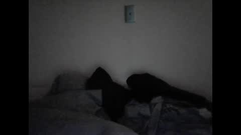 tattedpanther online show from 12.03.24