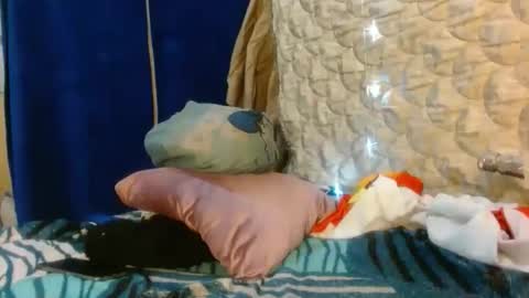 Katty badbitch online show from 04.19.26