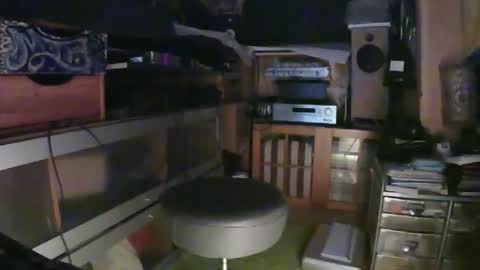 Snapshot of tattoogun chatting on 12.28.24 TattooLust online show from 12.28.24