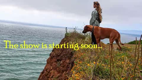 TATUM  ALL MY LINKS  online show from 02.03.26