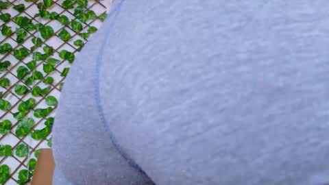 Taty Miller online show from 02.15.26